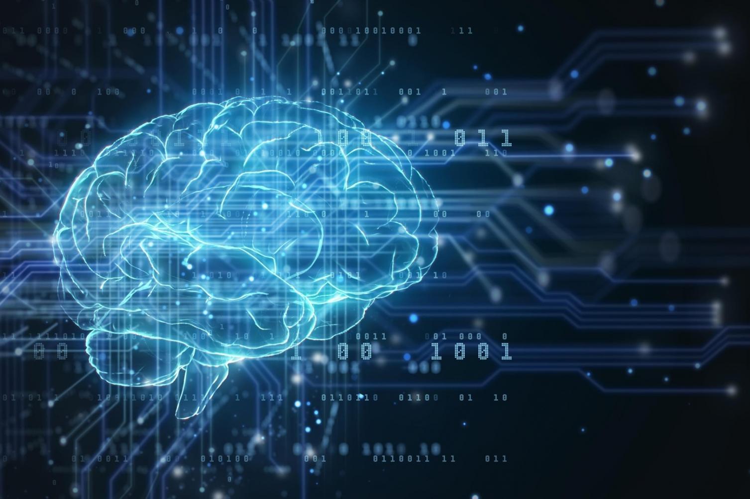 Sistema de categorización automática de gastos en acción